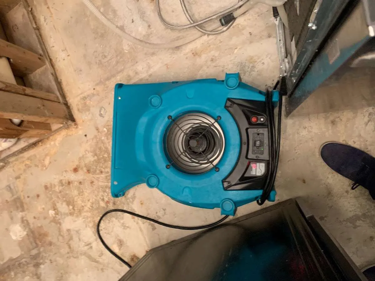 Air mover drying equipment for Mold Remediation & Removal in Minooka